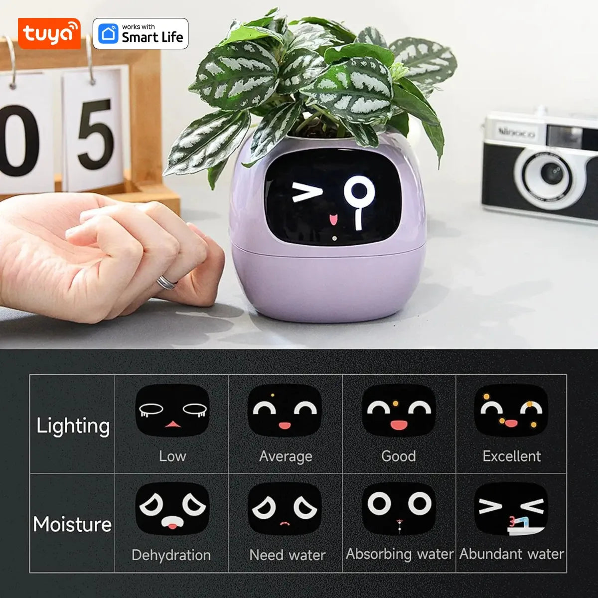 AI Smart Planter β Fun & Easy Plant Care