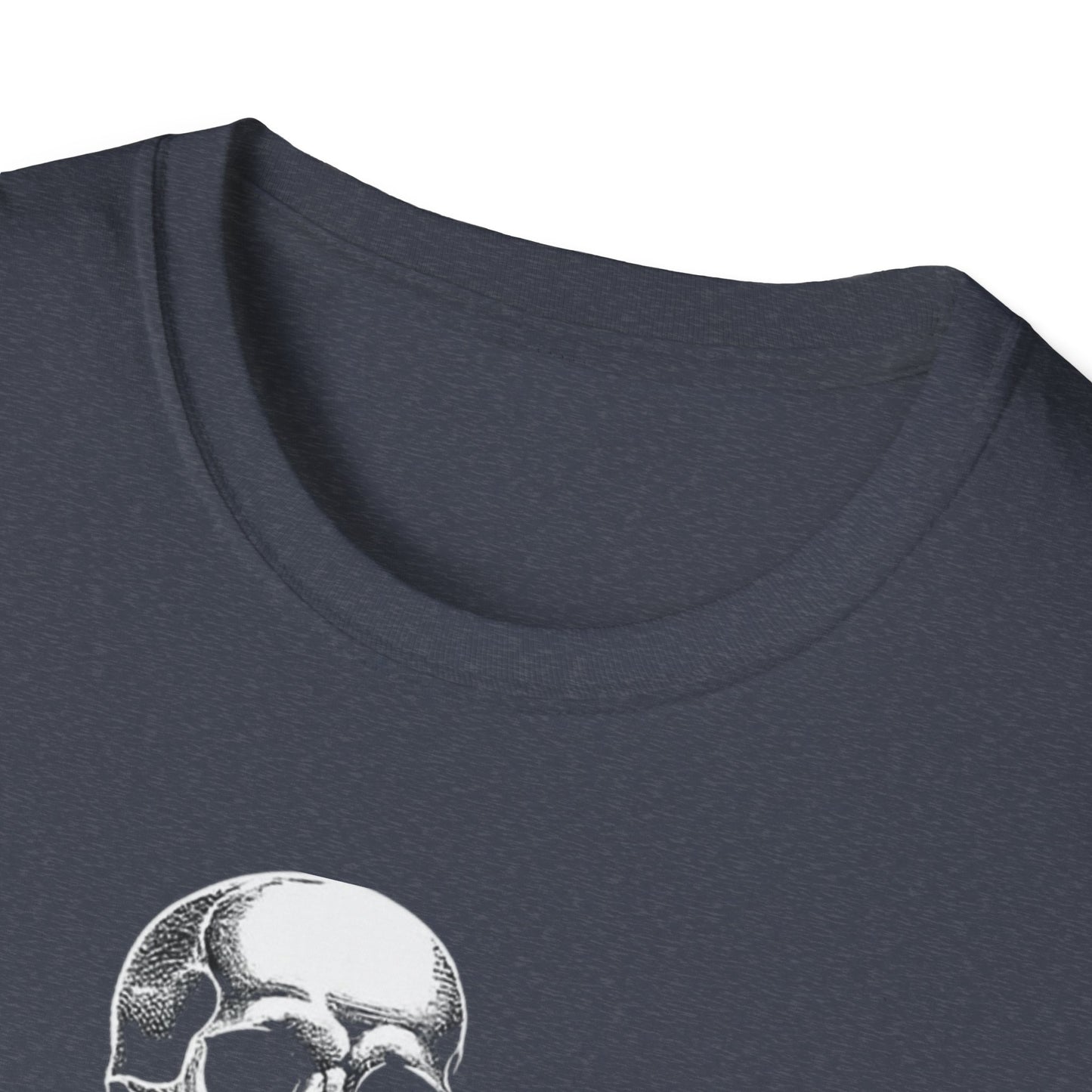 Skeleton and Dog Graphic Tee, Halloween T-Shirt, Pet Lover Gift, Unisex Softstyle Shirt, Casual Wear, Funny Pet Shirt